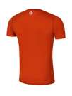 Fotogalerie Men's Merino T-Shirt FURRY cinnamon (DA large sign)