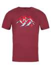 Fotogalerie Men's cotton FLASH T-shirt palisander (Mountains)