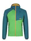 Fotogalerie Men's Down Jacket UNIQ green/emerald