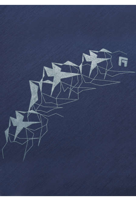 Fotogalerie Men's Merino T-Shirt FURRY navy (Alps)